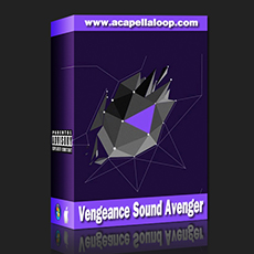 Vandalism厂牌Vengeance Sound Avenger复仇者合成器扩展预制音色(EDM风格)